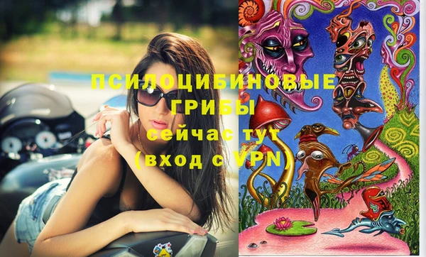 спайс Алексеевка