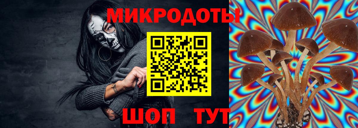 Псилоцибиновые грибы MAGIC MUSHROOMS Жуковский