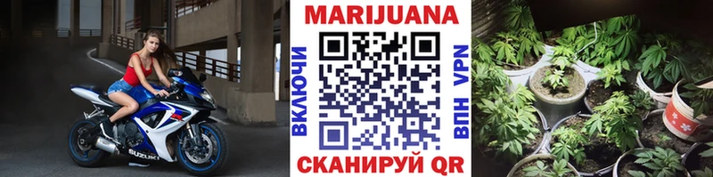 где купить   Жуковский  Канабис VHQ 